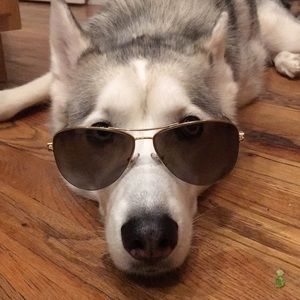 Tiffany & Co. Polarized Aviator Sunglasses